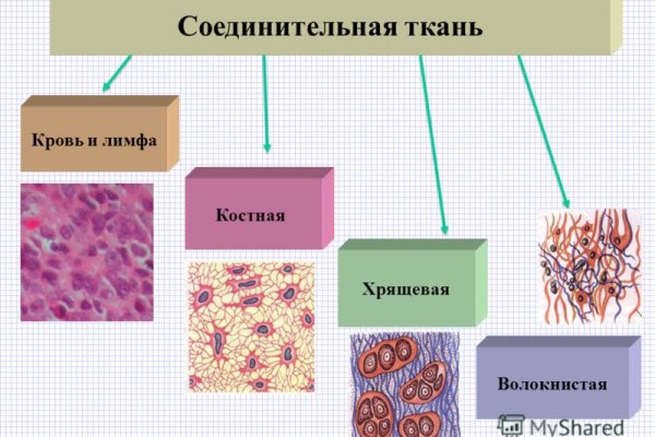 Короткая ссылка на кракен