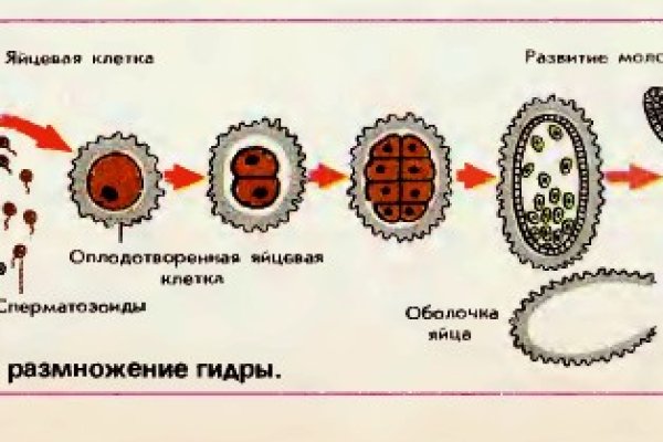 Кракен не работает сегодня