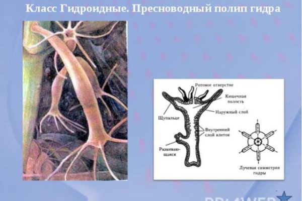 Кракен сайт зеркало рабочее