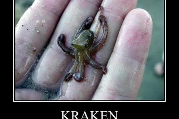 Кракен даркнет ссылка kraken link24 info